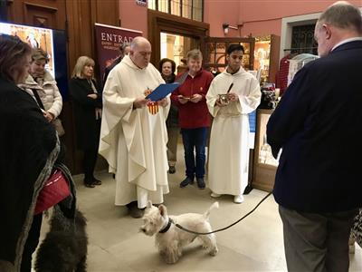 Dia de san Antoni i benedicció de nostres mascotes.